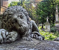 Lwowski weekend (na zamówienie!)