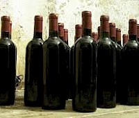 Perła Kaukazu – Gruzja