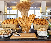 Hotel Flamingo**** Lloret de Mar