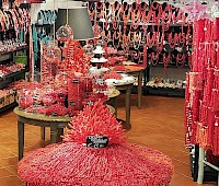 Andaluzja marzeń….