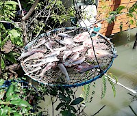 Co było w Bangkoku...