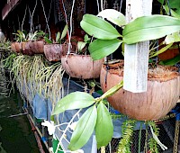 Co było w Bangkoku...